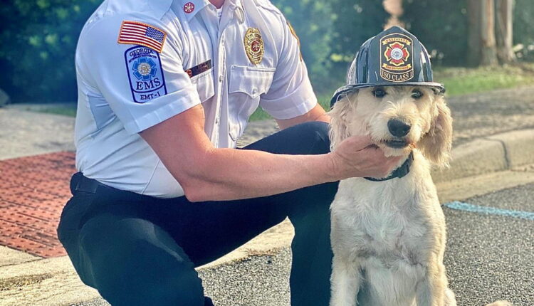 National Pet Fire Safety Day - July 15