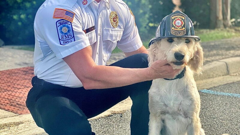 National Pet Fire Safety Day - July 15