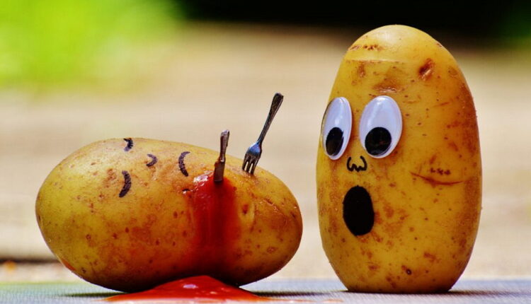 National Potato Day - August 19