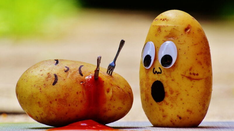 National Potato Day - August 19
