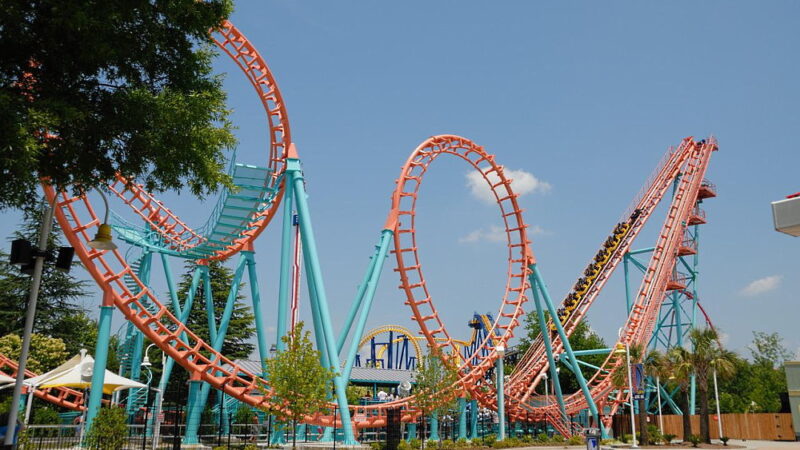 National Roller Coaster Day - August 16