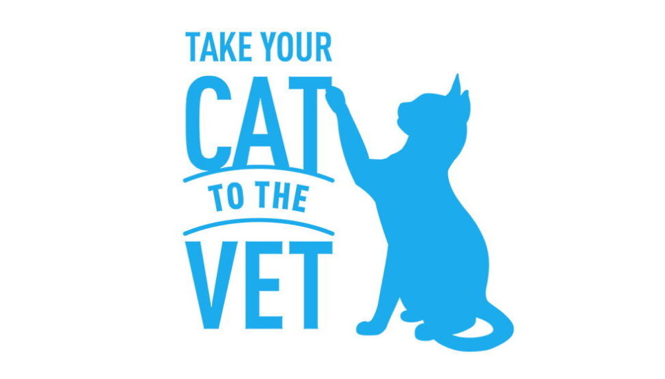 National Take Your Cat to the Vet Day August 22, 2024