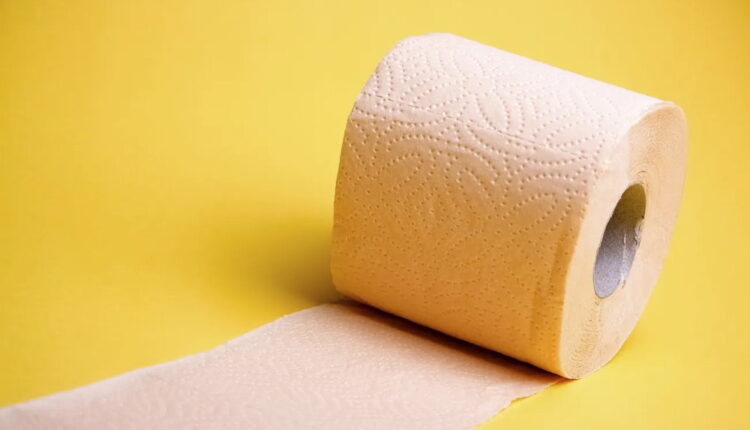 National Toilet Paper Day - August 26