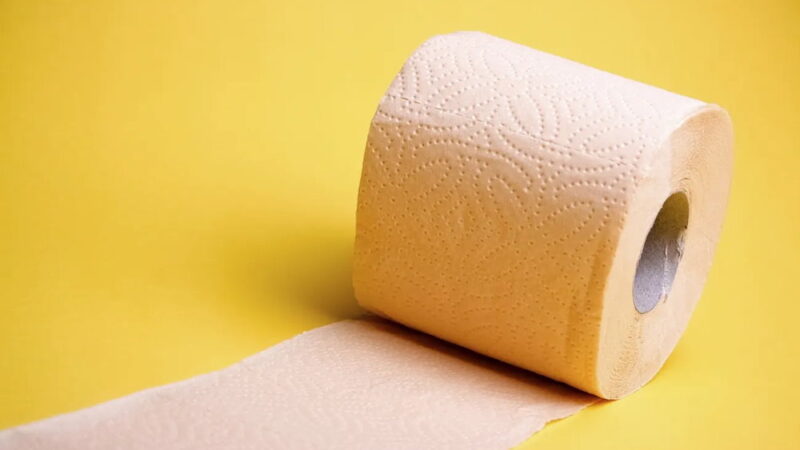 National Toilet Paper Day - August 26