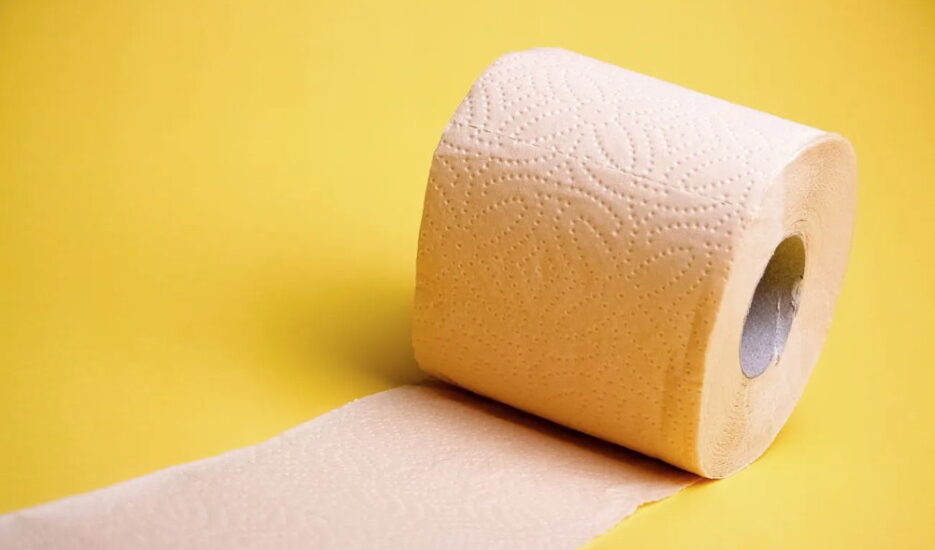 National Toilet Paper Day August 26, 2024