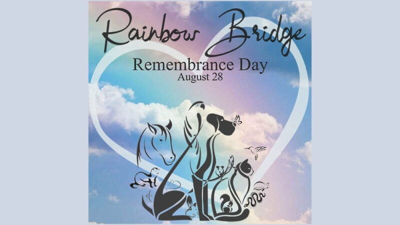 Rainbow Bridge Remembrance Day - August 28