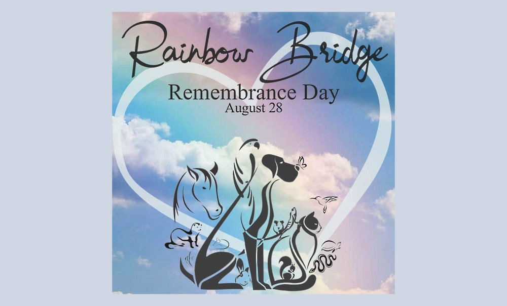 Rainbow Bridge Remembrance Day - August 28