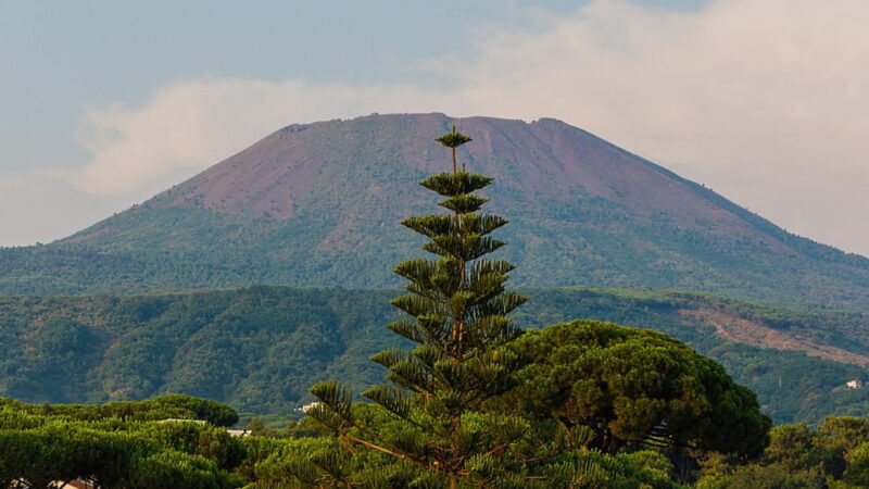 Vesuvius Day - August 24