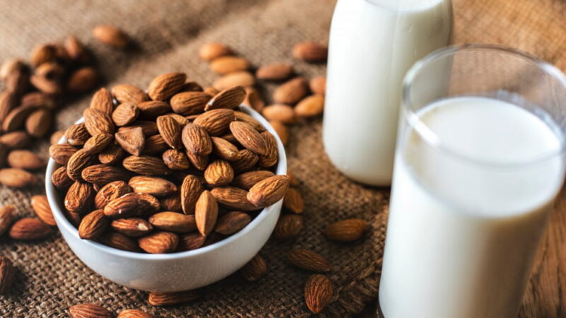 World Plant Milk Day - August 22