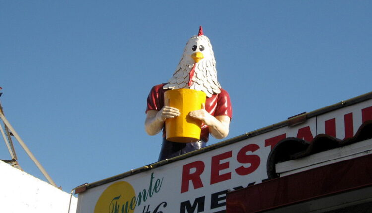 Chicken Boy’s Day - September 1