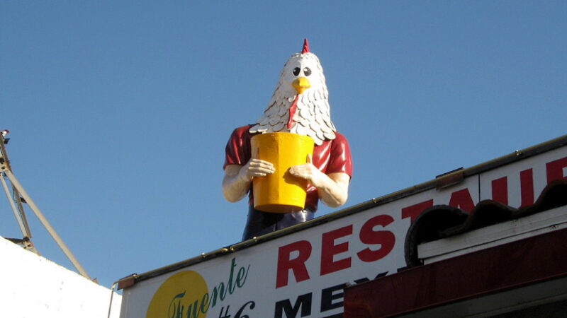 Chicken Boy’s Day - September 1
