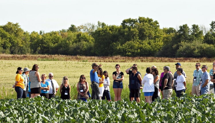 Farmers' Consumer Awareness Day - September