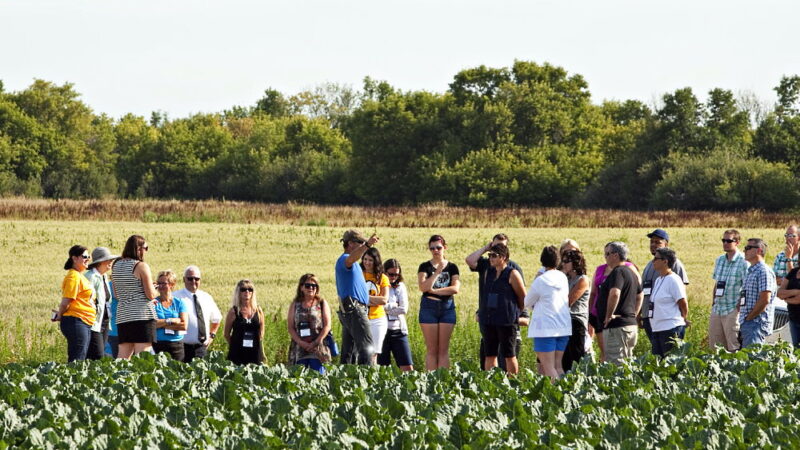 Farmers' Consumer Awareness Day - September