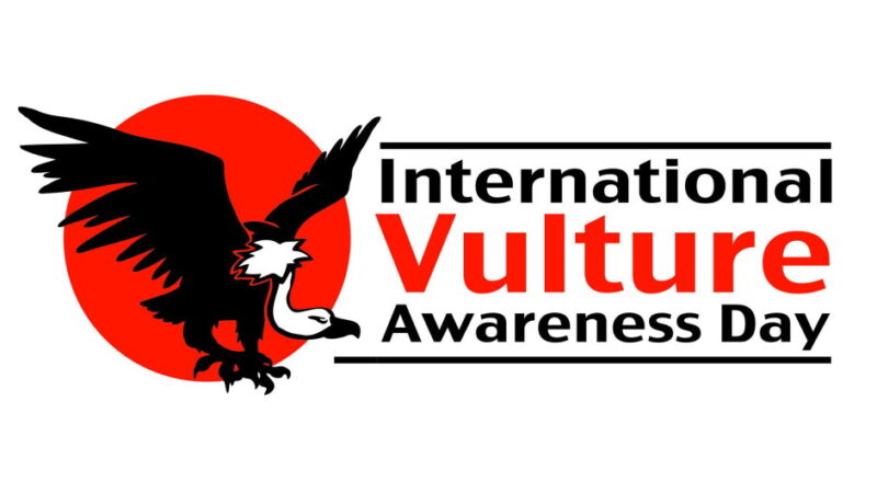 International Vulture Awareness Day - September