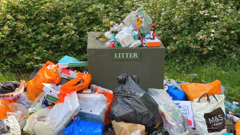 World Cleanup Day - September