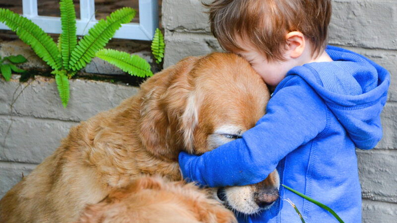 National Hug your Hound Day - September