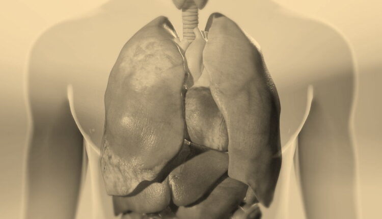 National Mesothelioma Awareness Day - September 26