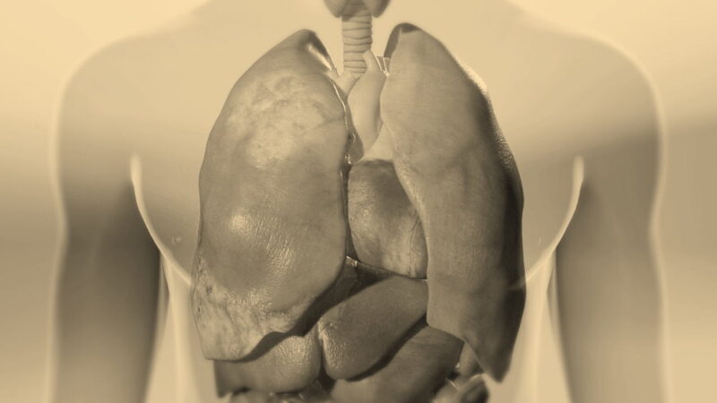 National Mesothelioma Awareness Day - September 26