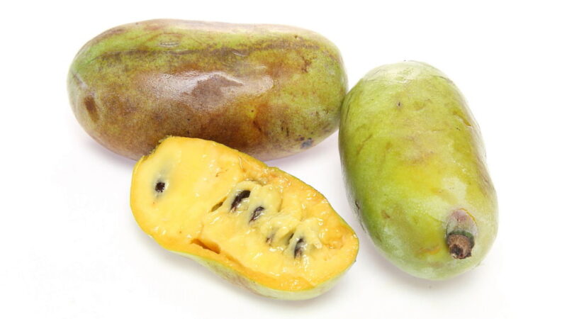 National Pawpaw Day - September