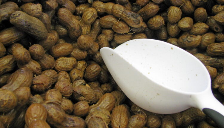 National Peanut Day - September 13