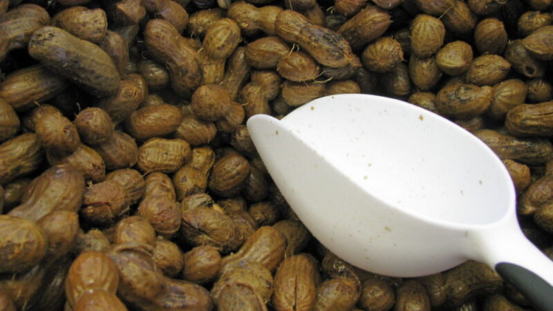 National Peanut Day - September 13