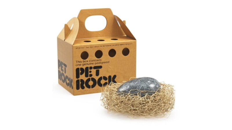 National Pet Rock Day - September