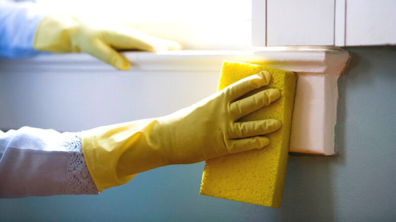 National Professional House Cleaners Day - September 17