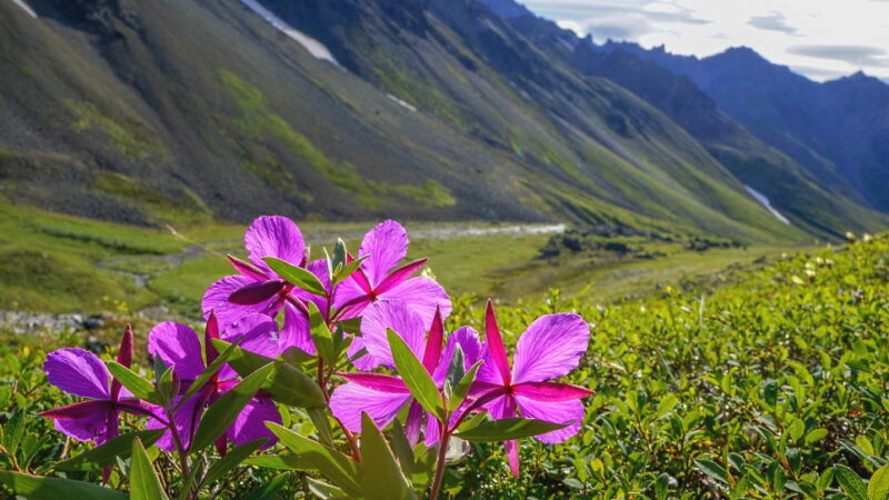 National Public Lands Day - September