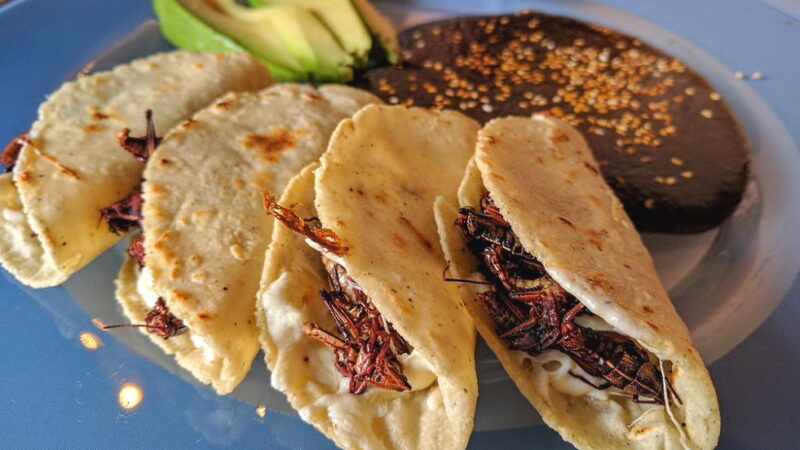 National Quesadilla Day - September 25