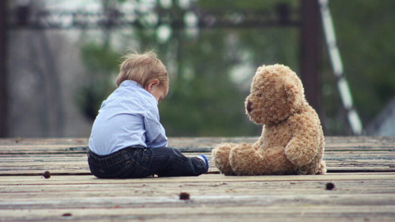 National Teddy Bear Day - September 9