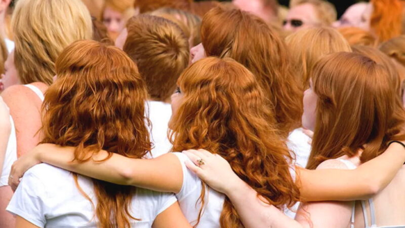 Redhead Appreciation Day - September 23