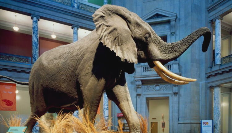 Smithsonian Day - September 18