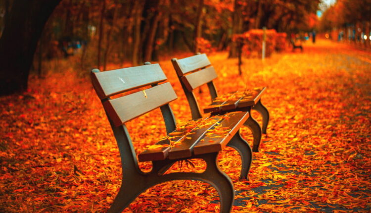The First Day of Fall - September 22