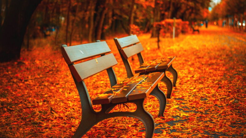 The First Day of Fall - September 22