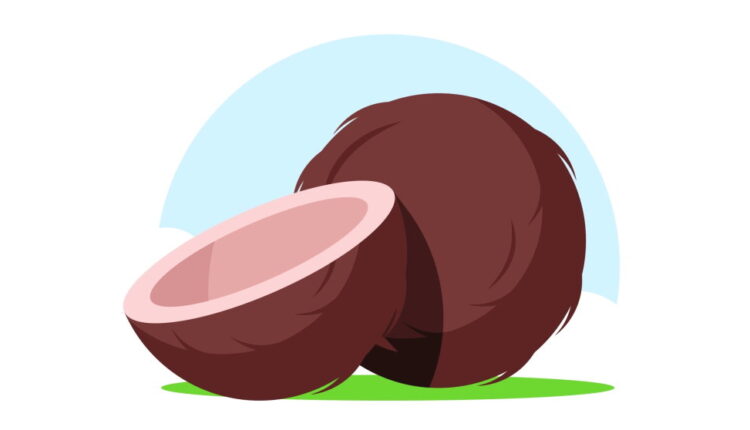 World Coconut Day - September 2
