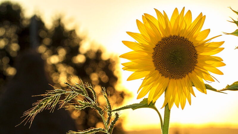 Evaluate Your Life Day - October 19