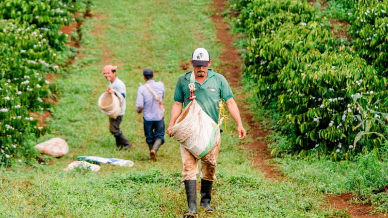 Farmers Day - October 12