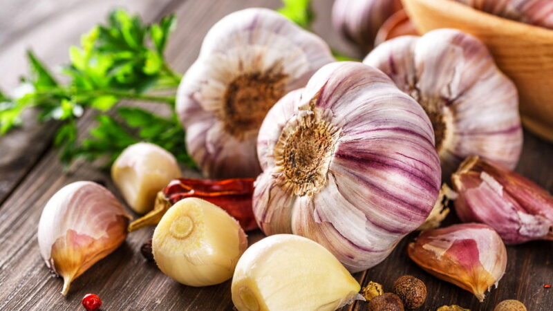Garlic Lovers Day - October 6