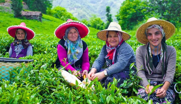 International Day of Rural Women - October 15