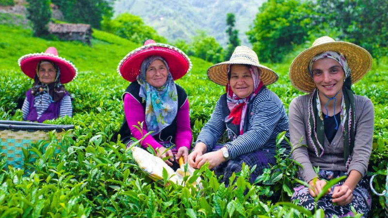 International Day of Rural Women - October 15