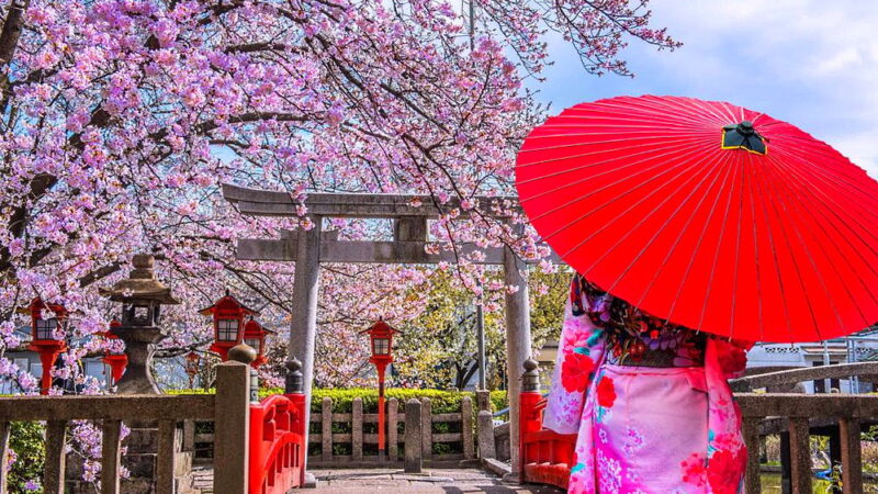 Japanese Culture Day - November 3
