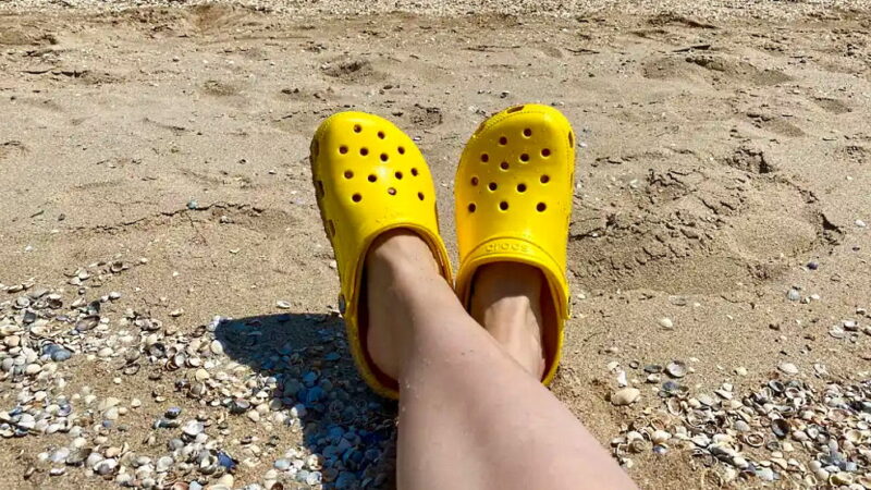 National Croc Day - October 23