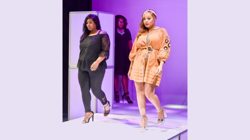 National Curves Day - October