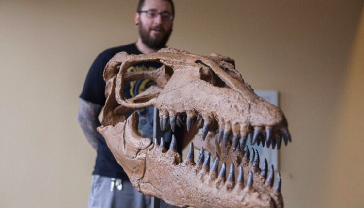 National Fossil Day - October
