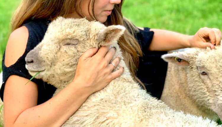 National Hug A Sheep Day - October