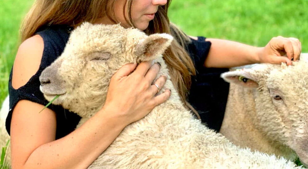 National Hug A Sheep Day October 26, 2024