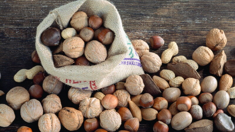 National Nut Day - October 22