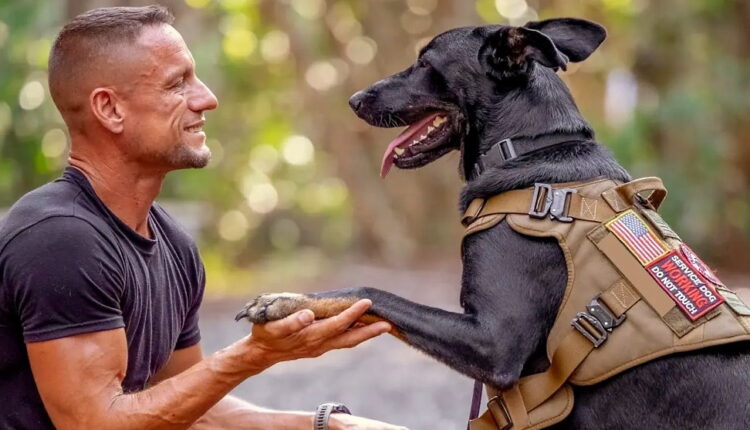 National Pets for Veterans Day - October 21