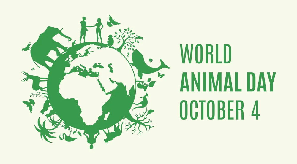 World Animal Day - October 4