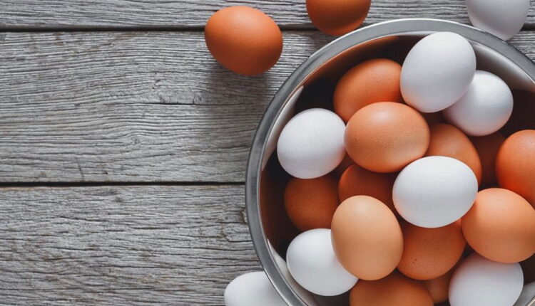 World Egg Day - October